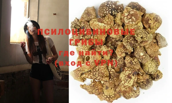 мескалин Осинники