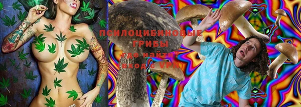 мескалин Осинники