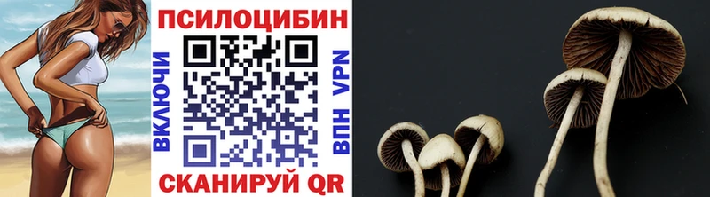 Галлюциногенные грибы Magic Shrooms Тавда