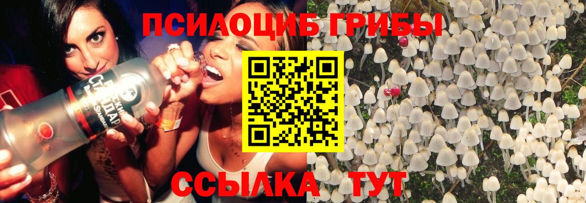 Галлюциногенные грибы ЛСД Тавда