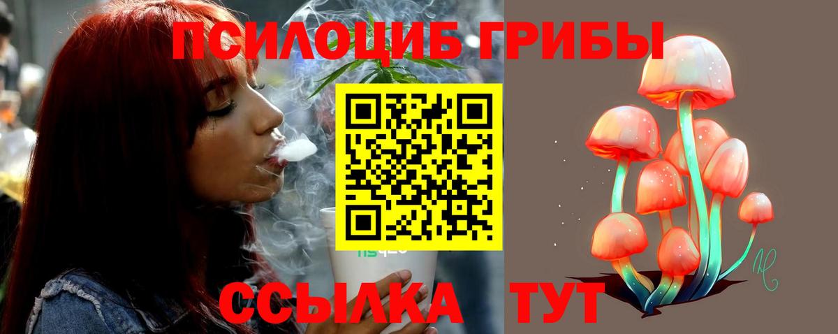 Галлюциногенные грибы GOLDEN TEACHER  Галлюциногенные грибы Cubensis  Вход с VPN  Тавда 